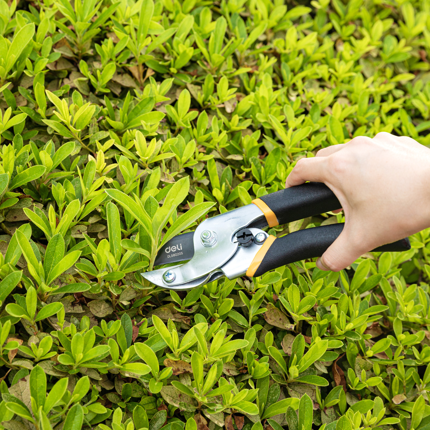 Tijeras de jardinería